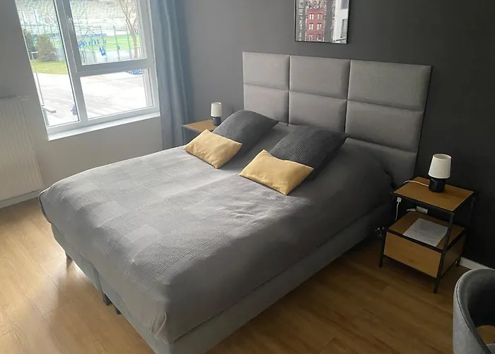 公寓式酒店 Bruno I Bianca W Symphony Modern Tower 2 I 3 Pietro 格丁尼亚